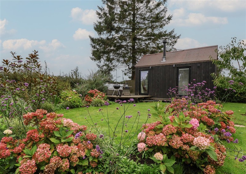 The garden in The Bothy at The Bothy, Kilmington near Mere