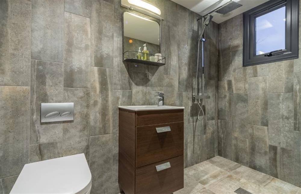 Wet room with rainfall shower, WC and wash basin with cupboard beneath
