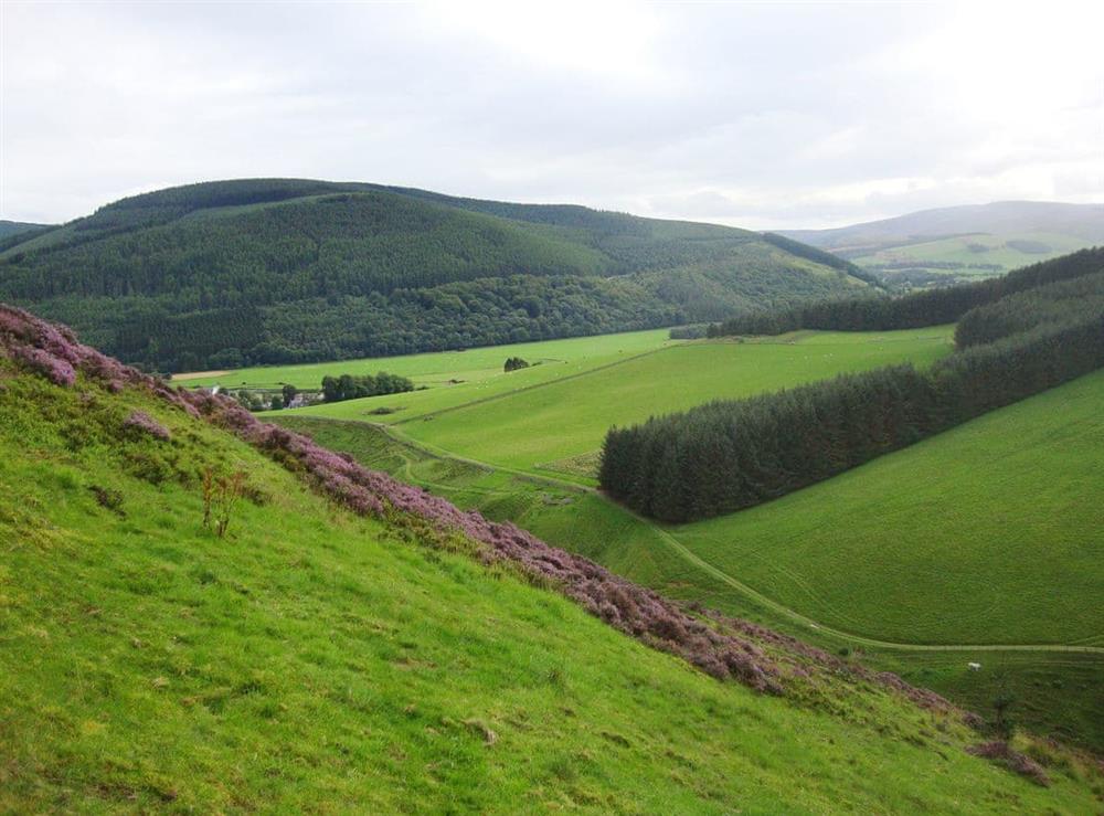 Views around the farm (photo 2) at The Bothy in Walkerburn, near Peebles, The Scottish Borders, Peebleshire