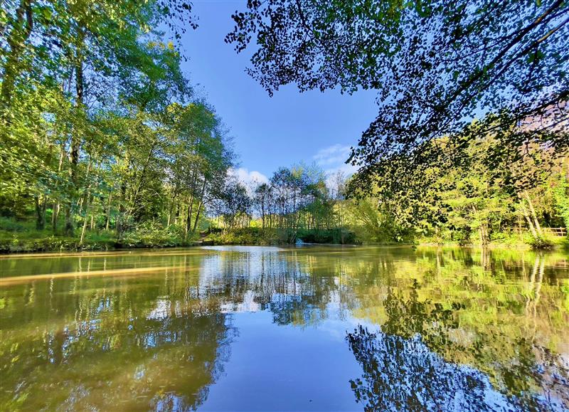 The setting of The Brambles 17 - Conkers Lodge