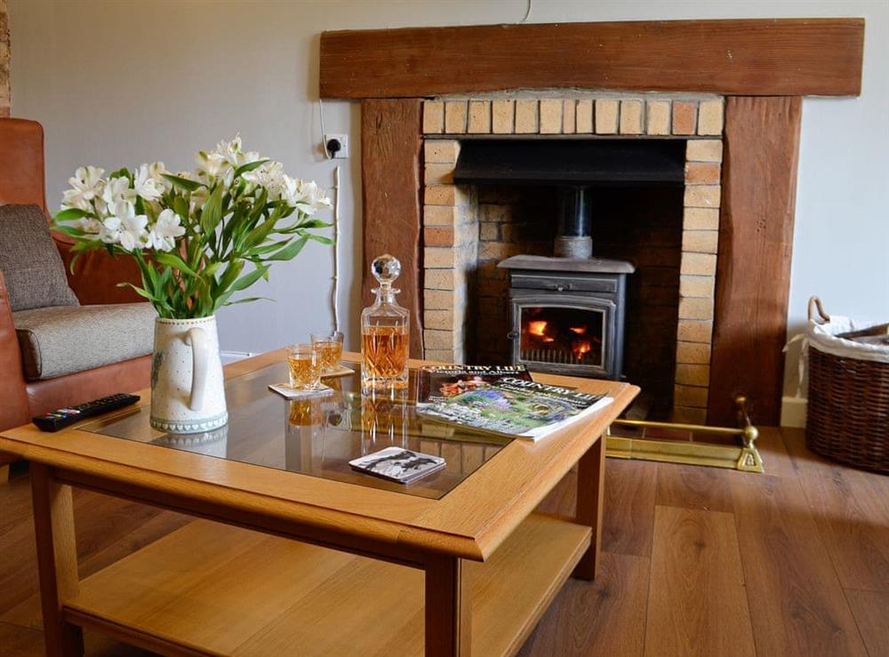 Living room with wood burner at The Brewers Cottage in Near Mauchline, Ayrshire