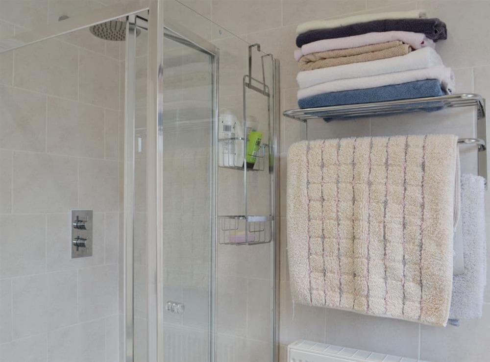 Bathroom with standalone shower cubicle and heated towel rail at The Briar Rose in Shiney Row, near Houghton-le-Spring, Tyne and Wear