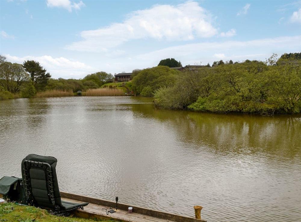 Carp fishing on-site at The Brown House in Woolsery, near Bideford, Devon