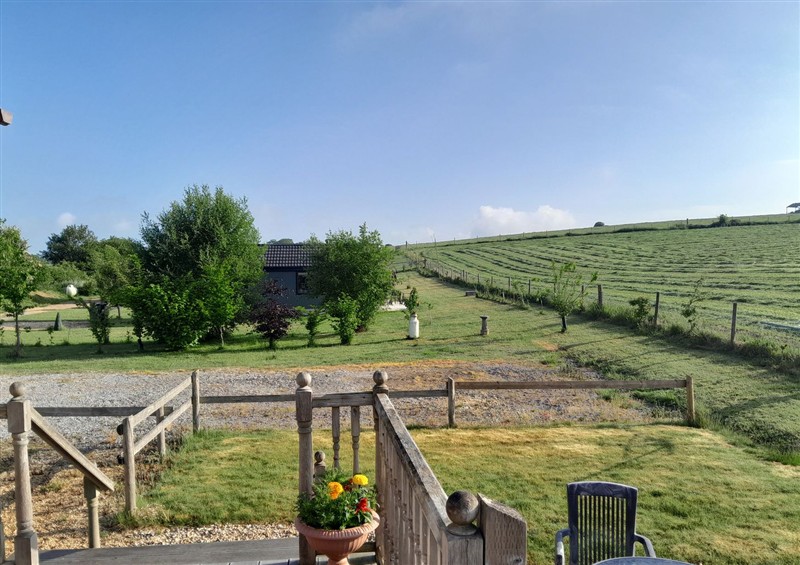 This is the garden at The Buckland, Pentridge near Sixpenny Handley