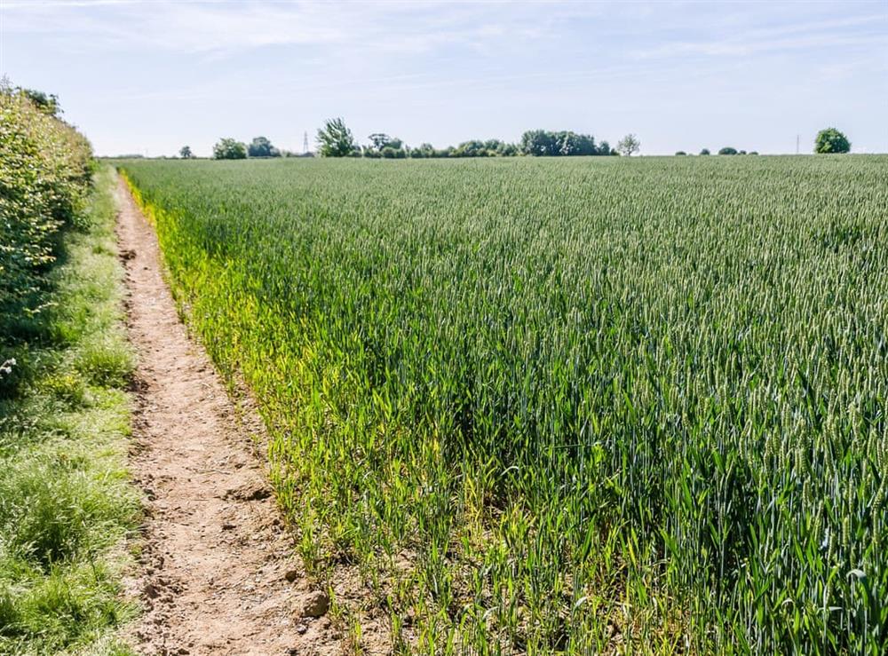 Countryside walks at The Bull Pen in Lawford, Essex, England