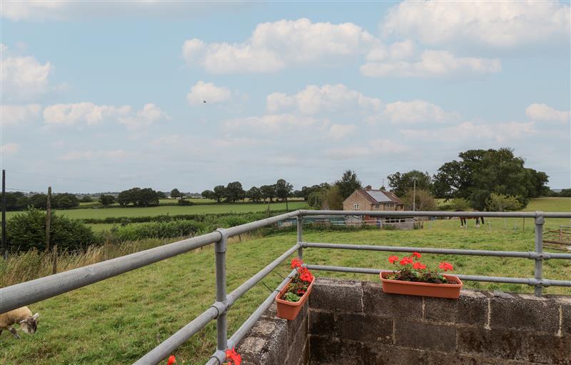 The area around The Bull Pen