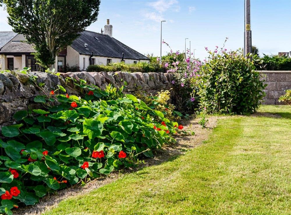 Garden at The Bungalow in Carnoustie, Angus