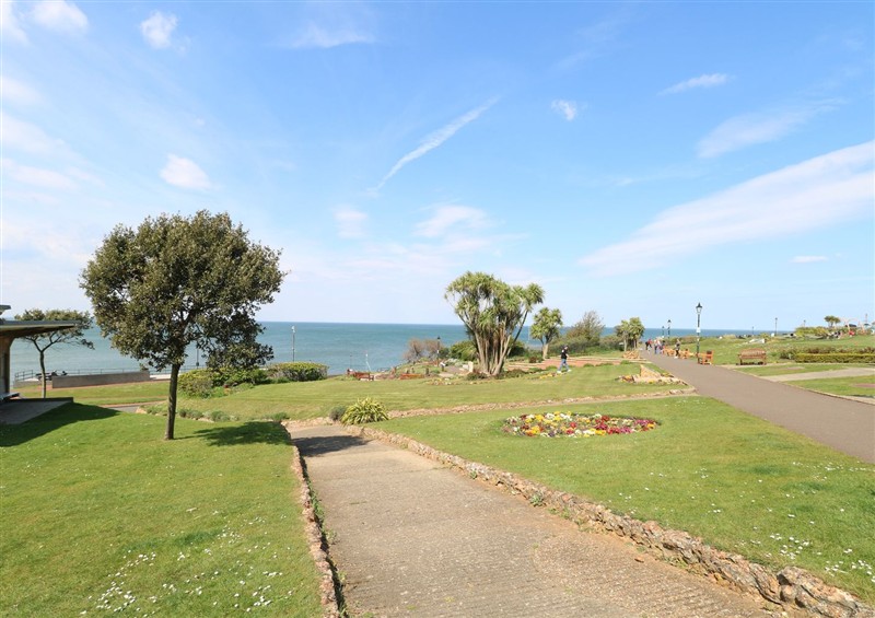 The garden at The Burleigh, Hunstanton
