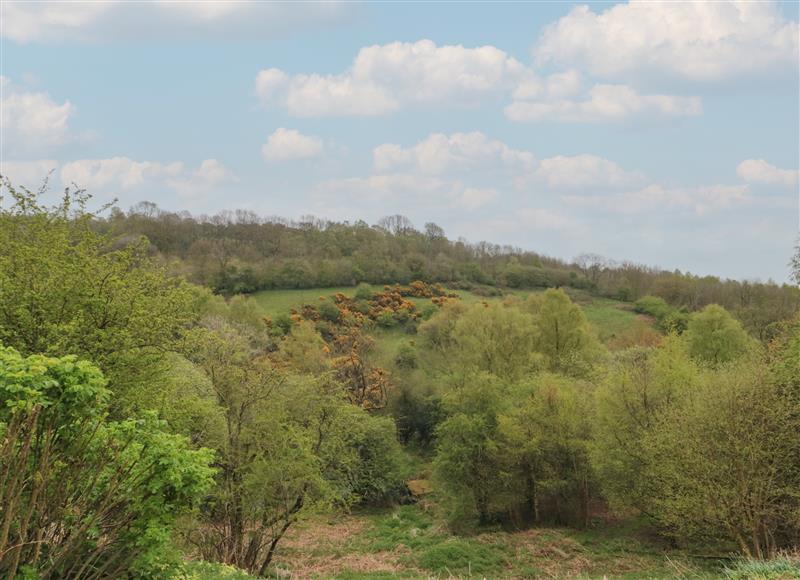 The setting around The Burrows