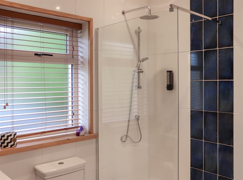 Bathroom (photo 2) at The Buttery in Tynreithyn Nr Tregaron, Dyfed