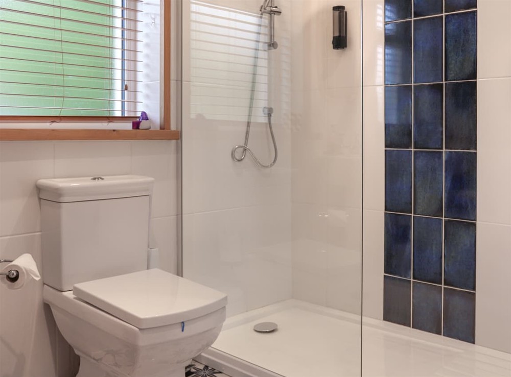 Bathroom (photo 3) at The Buttery in Tynreithyn Nr Tregaron, Dyfed