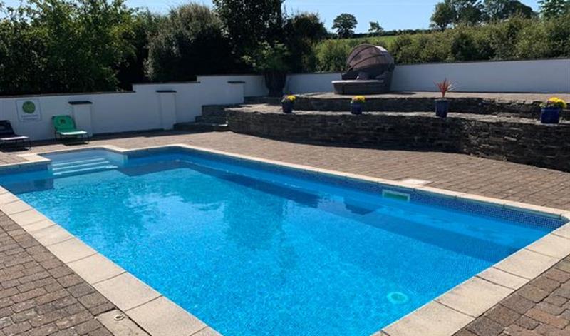 Enjoy the swimming pool at The Byre @ Canllefaes, Penparc near Cardigan