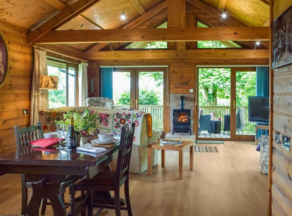 Open plan living space at The Cabin in Bancyffordd, Dyfed