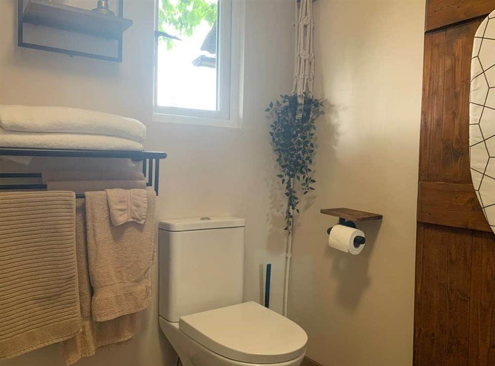 Shower room (photo 3) at The Cabin in Boyton, near Launceston, Cornwall