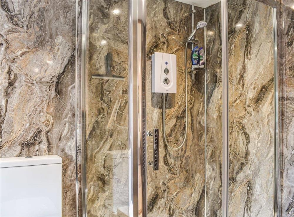 Shower room (photo 2) at The Cabin in Broadstone, Dorset