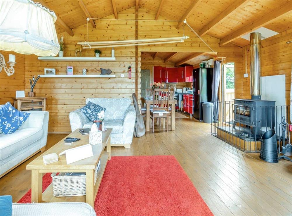 Open plan living space at The Cabin Cefn Mawr in Cefn Mawr, near Newtown, Powys