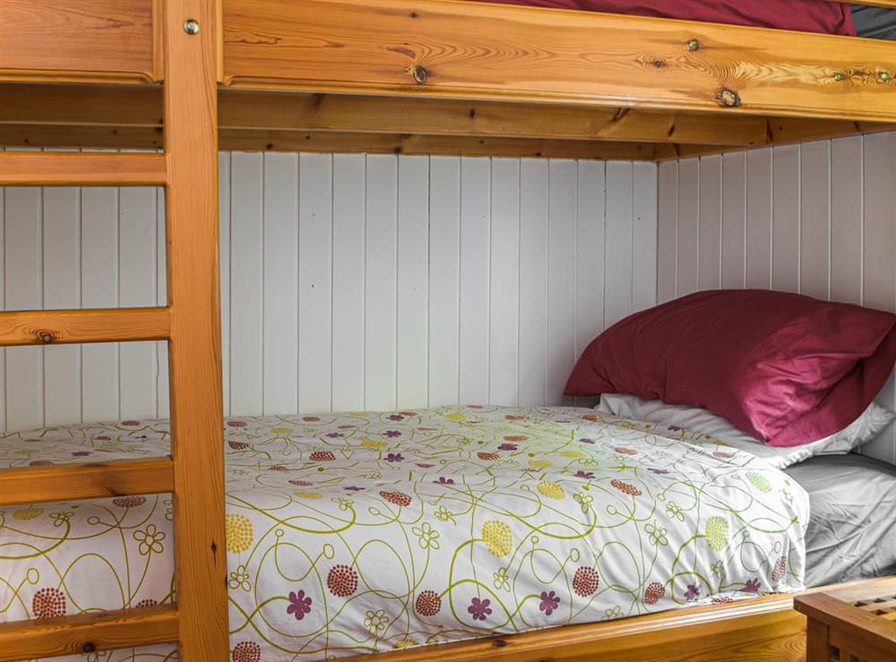 Bunk bedroom at The Cabin in Cenarth, Dyfed