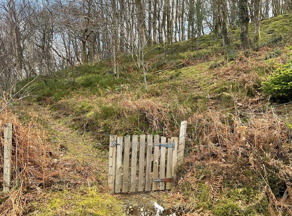 Exterior (photo 3) at The Cabin In The Woods in Llanybydder, near Llandovery, Dyfed