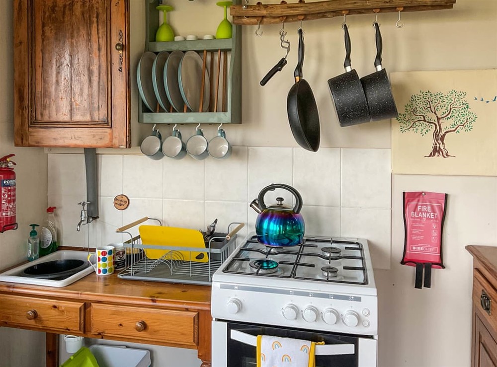 Kitchen at The Cabin In The Woods in Llanybydder, near Llandovery, Dyfed