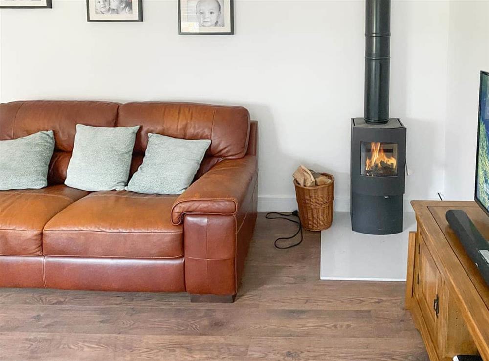 2 leather sofas and wood burner within the living area at The Cabin in Nutbourne, near Chichester, West Sussex