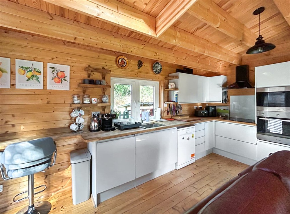 Kitchen area at The Cabin in Sevenoaks, Kent