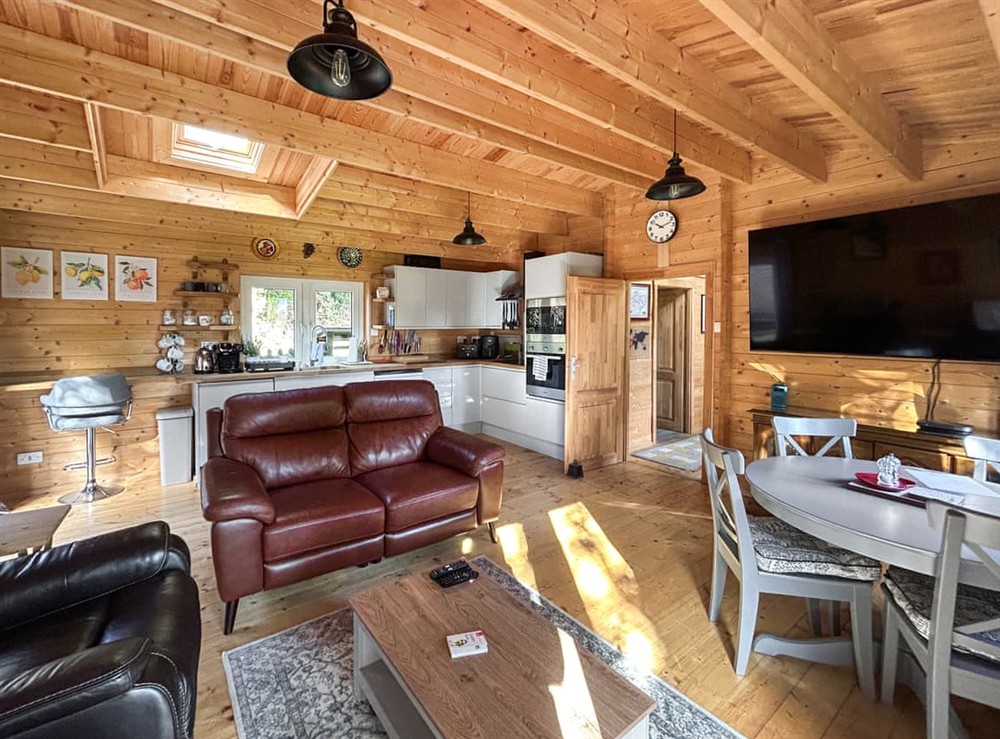Open plan living space (photo 3) at The Cabin in Sevenoaks, Kent