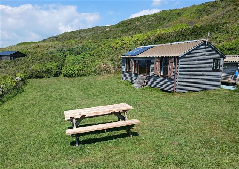 This is the garden at The Cabin, Treninnow Cliff near Millbrook