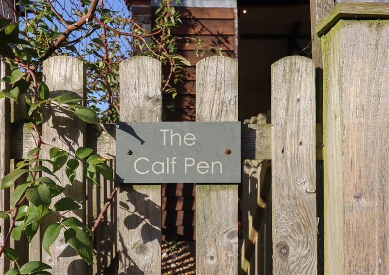 This is the garden at The Calf Pen, Colyton