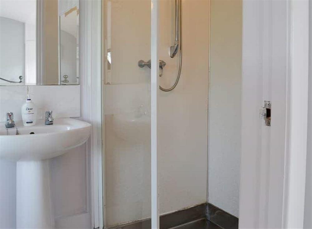 En-suite shower room at The Carriage in 