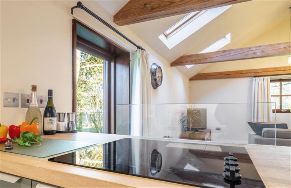 Kitchen overlooking the open-plan living space at The Cart Lodge, Thornham Magna