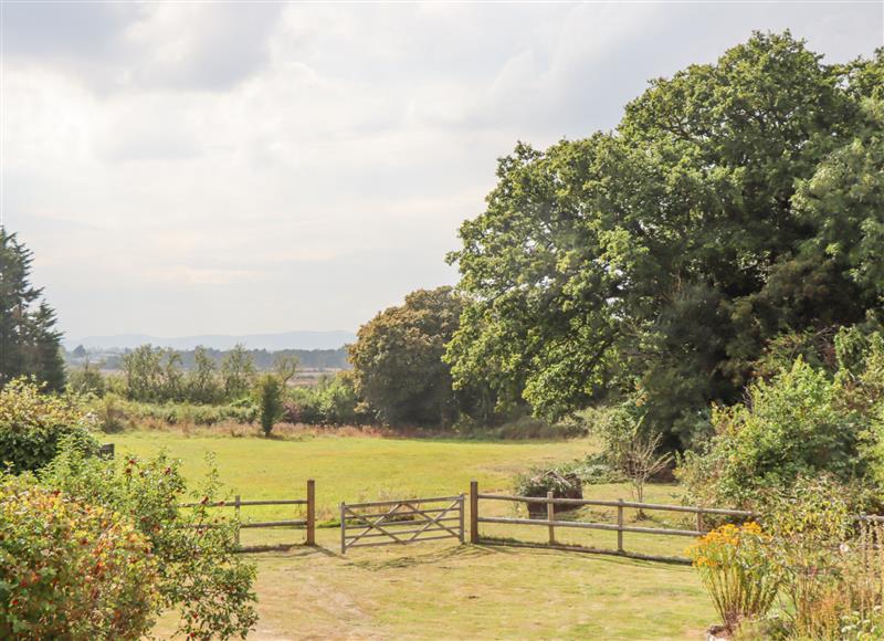 Rural landscape