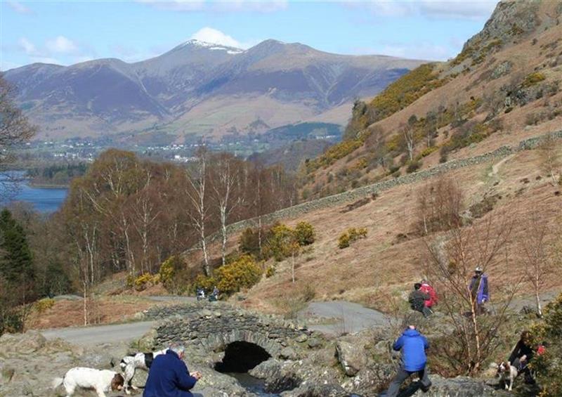 The area around The Cats Bield at The Cats Bield, Keswick