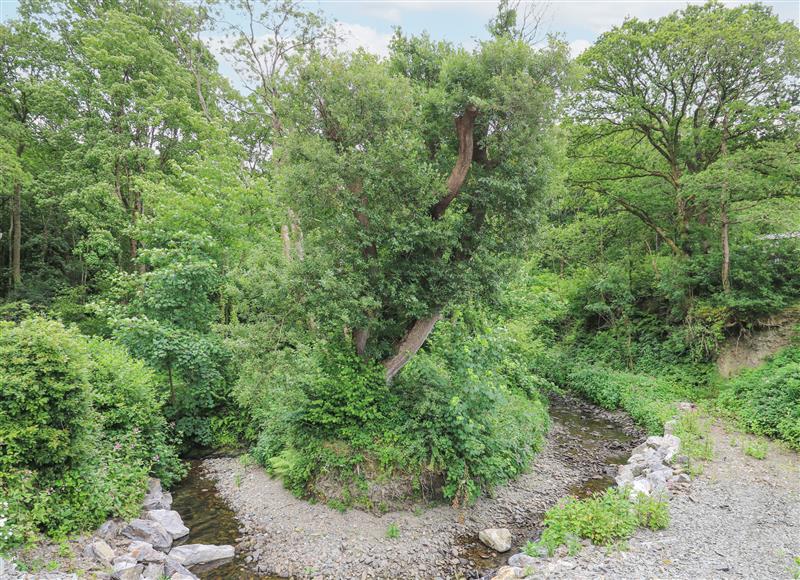 The area around The Ceredigion