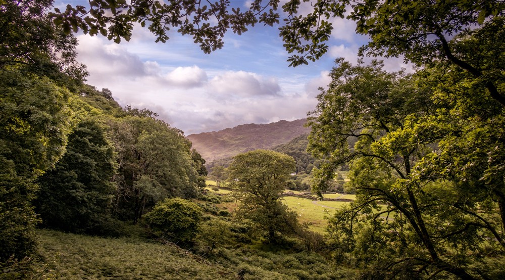 The area surrounding The Chalet At Tan Yr Ogof, Gwynedd at The Chalet At Tan Yr Ogof in Beddgelert, Gwynedd