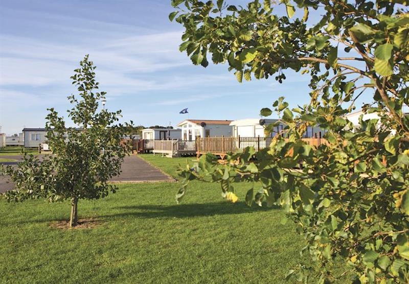 The park setting at The Chase Holiday Park in Ingoldmells, Nr skegness
