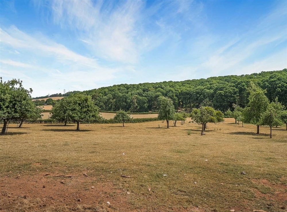 View at The Cider House in Mitcheldean , Forest of dean, Gloucestershire