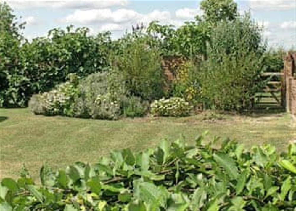 Garden (photo 2) at The Coach House in Aldington, Ashford, Kent., Great Britain