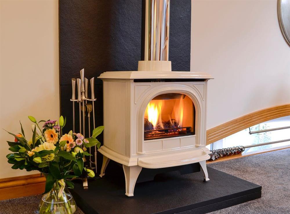 Gas Log-effect stove at The Coach House in Brampton, Cumbria