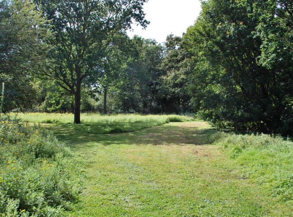 2 acre walk (photo 2) at The Coach House in Carlton, near Saxmundham, Suffolk., Great Britain