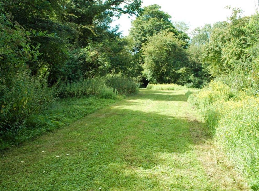 2 acre walk at The Coach House in Carlton, near Saxmundham, Suffolk., Great Britain