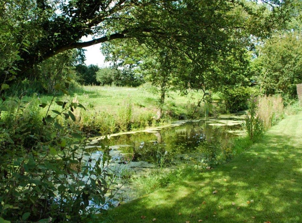 Pond at The Coach House in Carlton, near Saxmundham, Suffolk., Great Britain