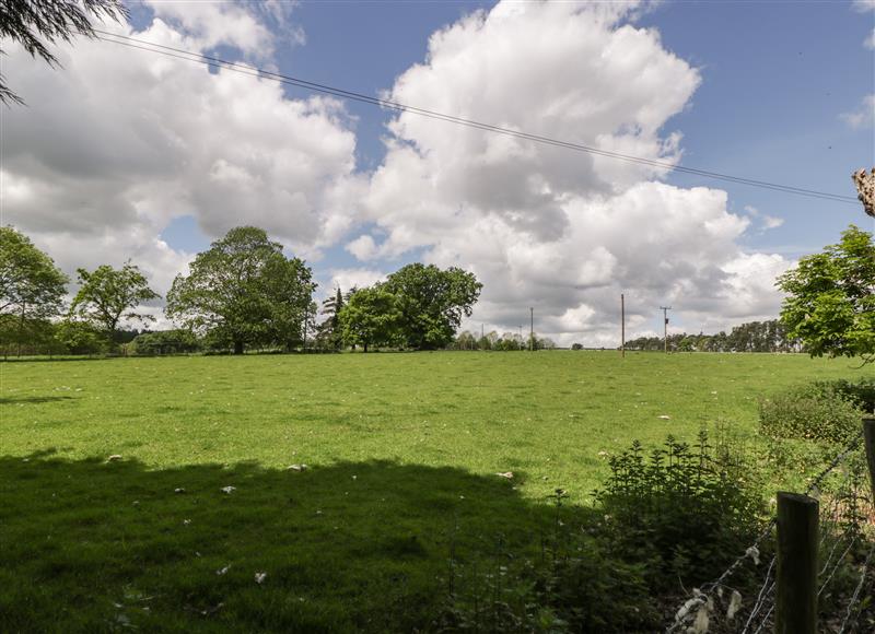 Rural landscape