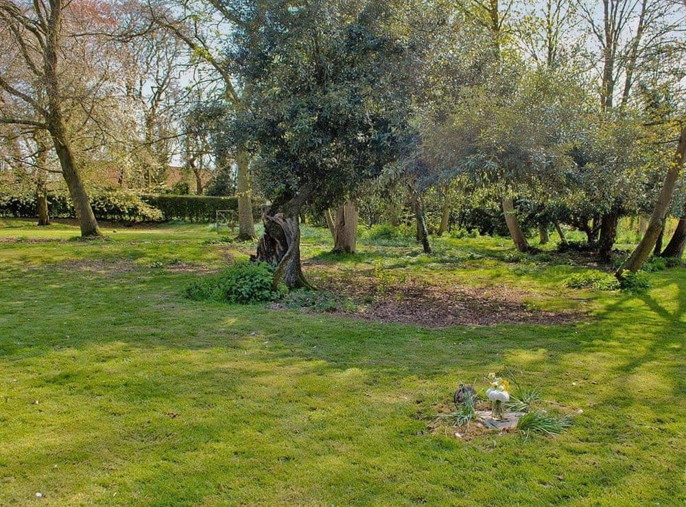 Garden at The Coach House in Falkenham, Suffolk