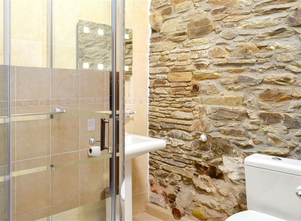 Shower room (photo 2) at The Coach House in Gulworthy, near Tavistock, Devon