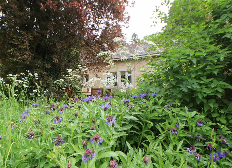 This is the garden (photo 2) at The Coach House, Shepherds Dene near Corbridge