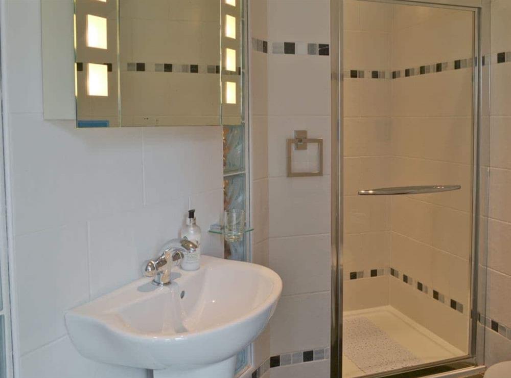 Shower room with WC at The Coach House in South Brent, Devon