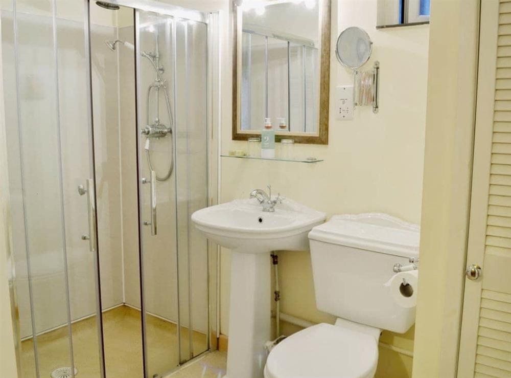 Bathroom at The Coach House in St. Garmons, Llanarmon Dyffryn Ceiriog, Denbighshire