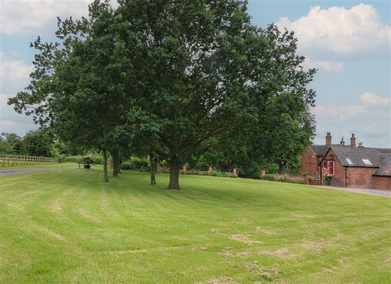 Rural landscape