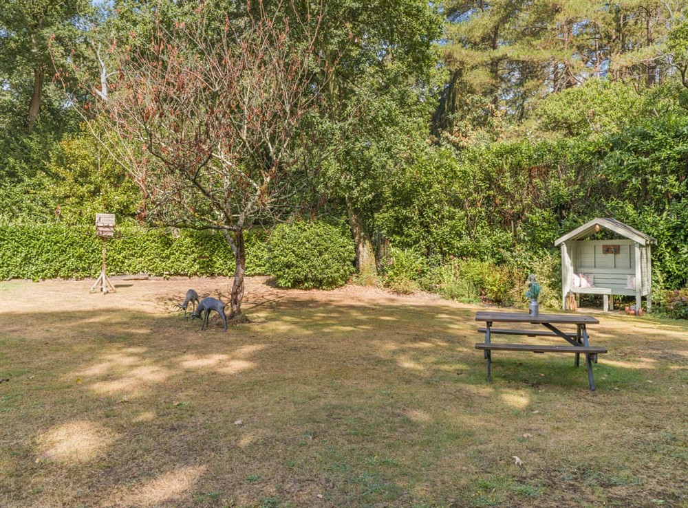 Outdoor (photo 5) at The Coachmans Cottage in Ringwood, New Forest, Hampshire