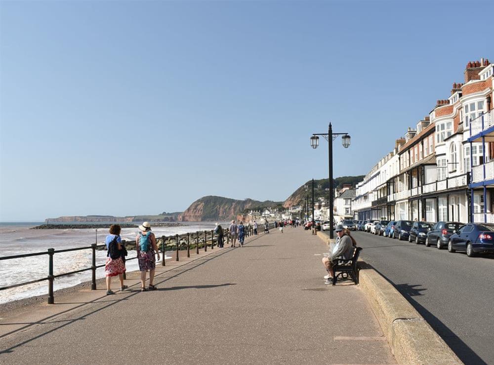 Sidmouth seafront (photo 2) at The Coastal Hideaway in Sidmouth, Devon